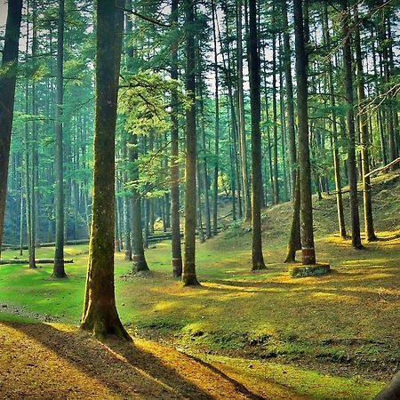 The Green Pine Cottage Lansdowne Luaran gambar
