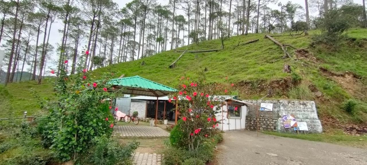 The Green Pine Cottage Lansdowne Luaran gambar